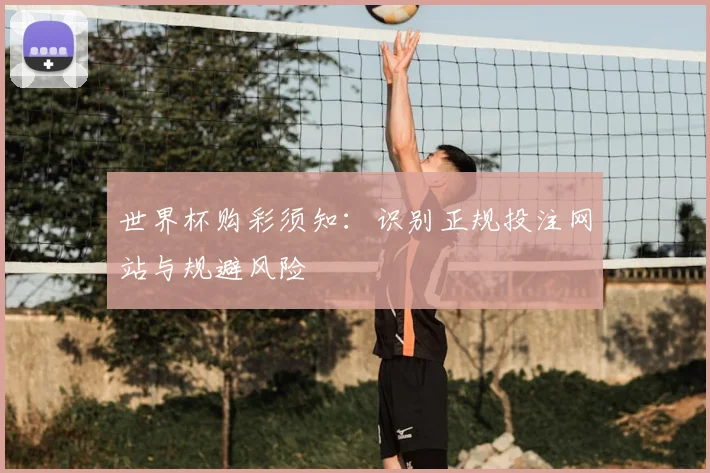 世界杯购彩须知：识别正规投注网站与规避风险