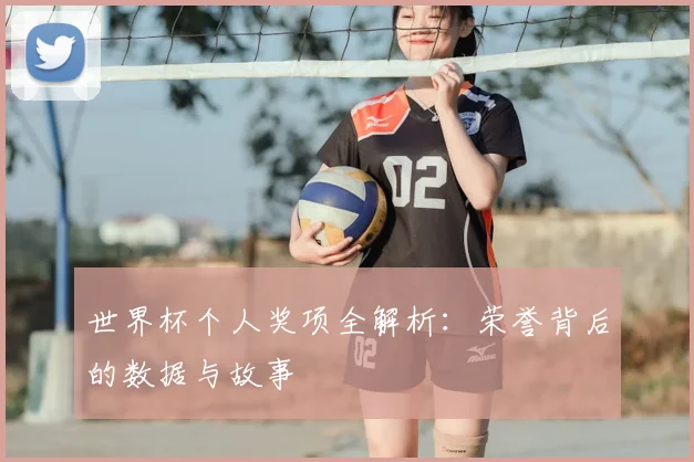 世界杯个人奖项全解析：荣誉背后的数据与故事