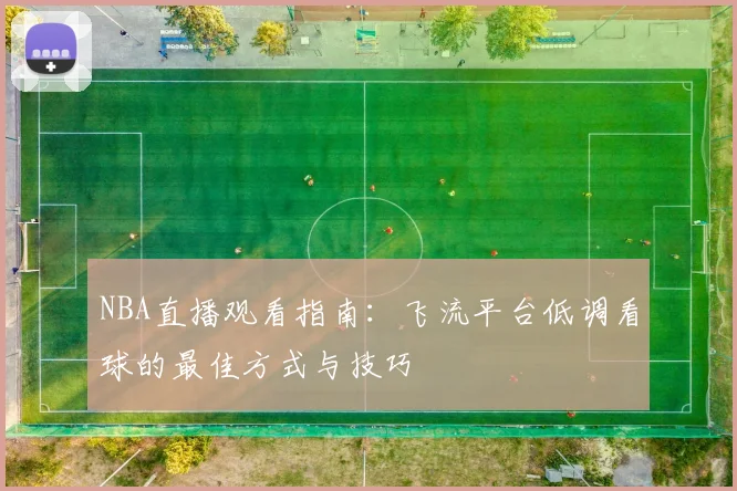 NBA直播观看指南：飞流平台低调看球的最佳方式与技巧