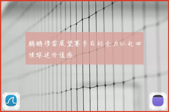 鹈鹕穆雷展望赛季目标全力以赴回馈球迷价值感