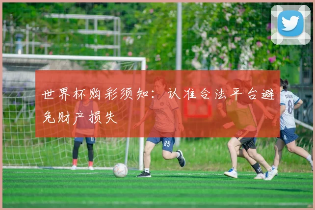 世界杯购彩须知：认准合法平台避免财产损失