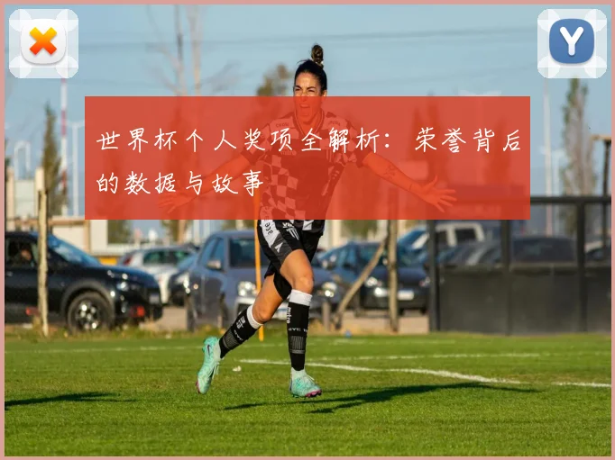 世界杯个人奖项全解析：荣誉背后的数据与故事